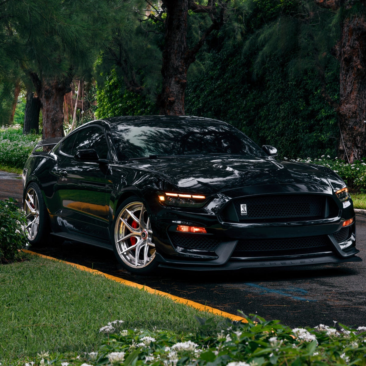 15-17 Ford Mustang/18-20 Mustang Shelby GT350/GT500 MK II NOVA-Series LED Projector Headlights Alpha-Black - view 2